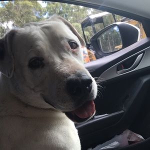 Meet your Posher, Alyson